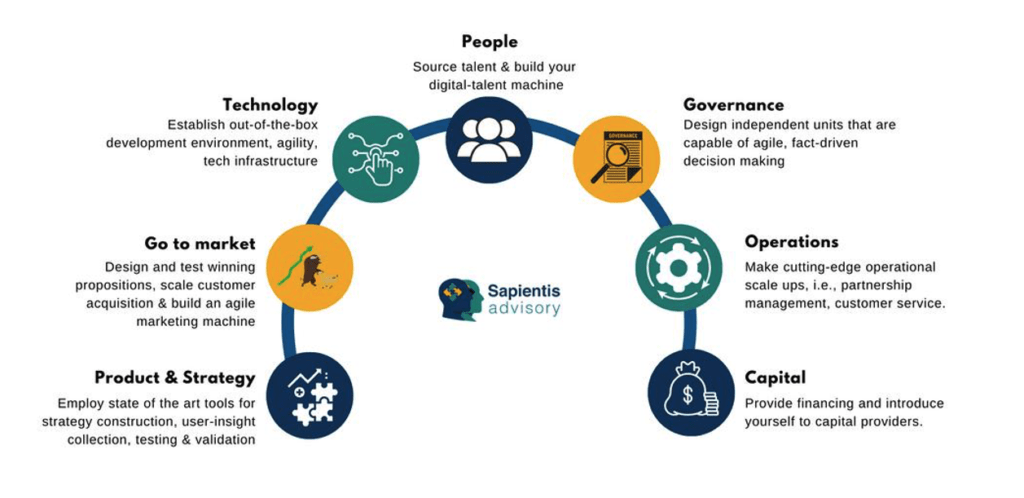 Sapientis Advisory Consultants Successful corporate-backed startups follow a specific toolkit that covers seven areas.